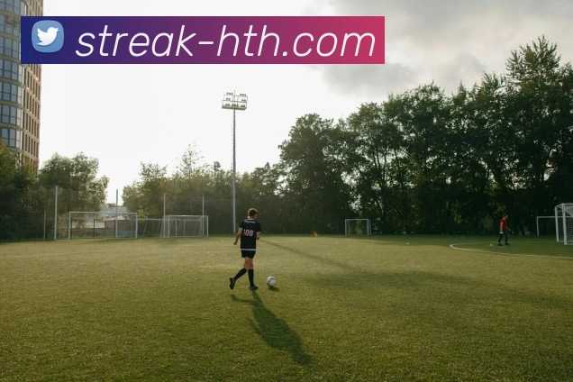 hth体育服务体系