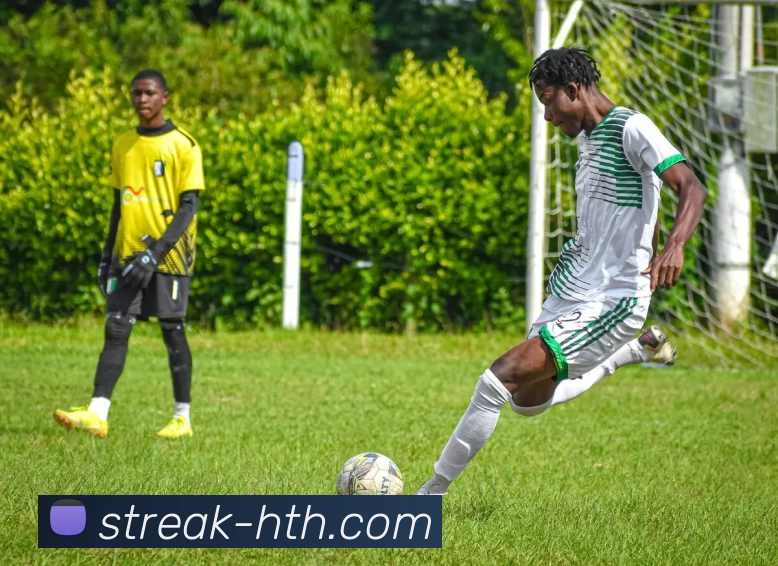 hth体育APP 高清赛事图